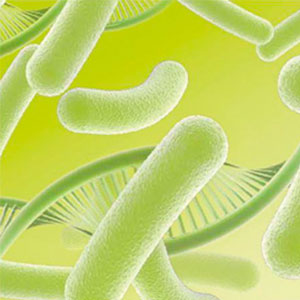 https://somosqualys.com.br/wp-content/uploads/2021/09/qualys-diagnosticos-alimentos-microbiologia.jpg